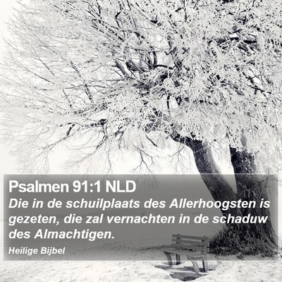 Psalmen 91:1 NLD Bible Verse Image