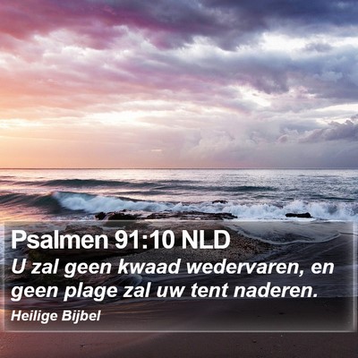 Psalmen 91:10 NLD Bible Verse Image