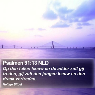 Psalmen 91:13 NLD Bible Verse Image