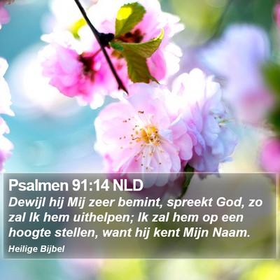 Psalmen 91:14 NLD Bible Verse Image