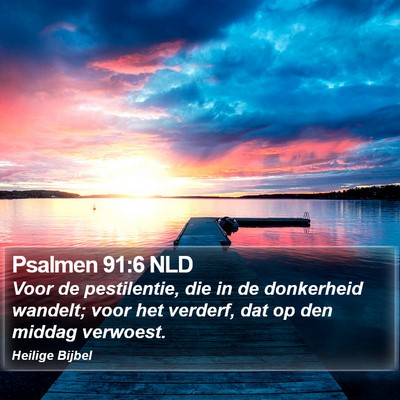 Psalmen 91:6 NLD Bible Verse Image