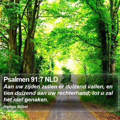 Psalmen 91:7 NLD Bible Verse Image