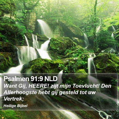 Psalmen 91:9 NLD Bible Verse Image