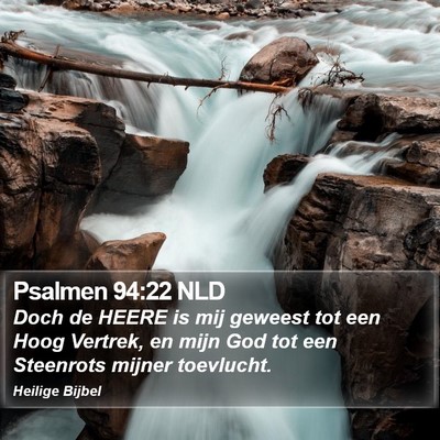 Psalmen 94:22 NLD Bible Verse Image