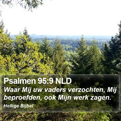 Psalmen 95:9 NLD Bible Verse Image