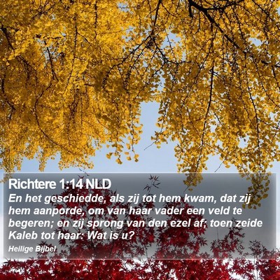 Richtere 1:14 NLD Bible Verse Image