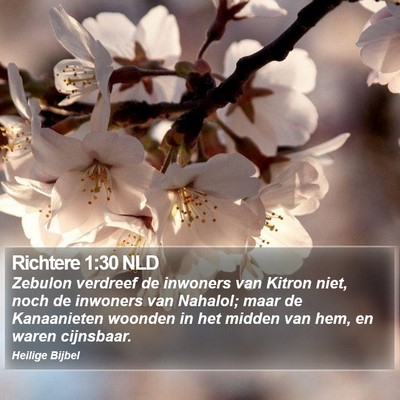 Richtere 1:30 NLD Bible Verse Image