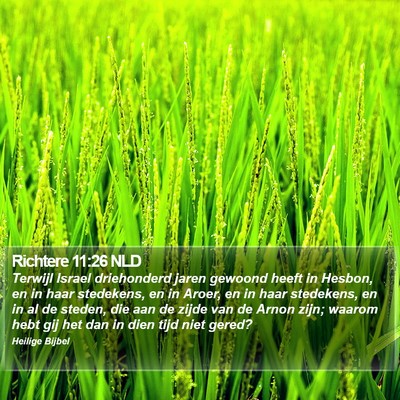 Richtere 11:26 NLD Bible Verse Image