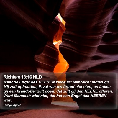 Richtere 13:16 NLD Bible Verse Image