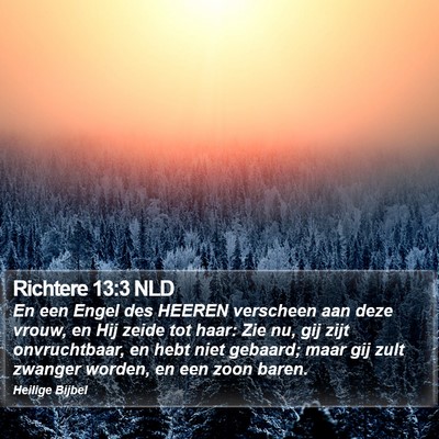 Richtere 13:3 NLD Bible Verse Image