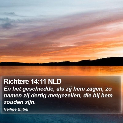 Richtere 14:11 NLD Bible Verse Image