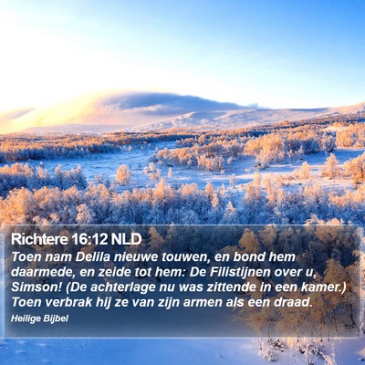 Richtere 16:12 NLD Bible Verse Image