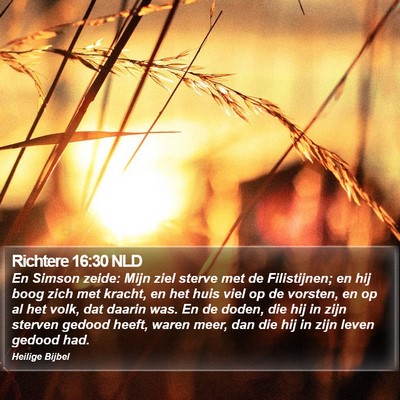 Richtere 16:30 NLD Bible Verse Image
