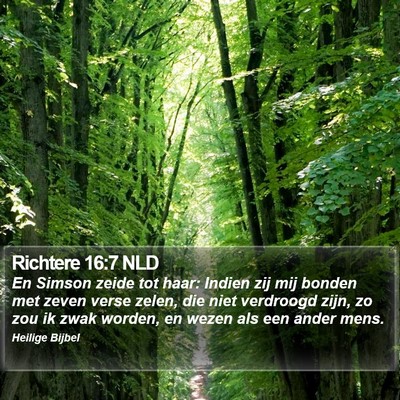 Richtere 16:7 NLD Bible Verse Image
