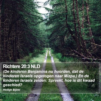 Richtere 20:3 NLD Bible Verse Image