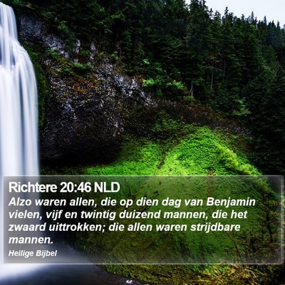 Richtere 20:46 NLD Bible Verse Image