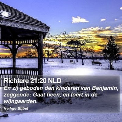 Richtere 21:20 NLD Bible Verse Image