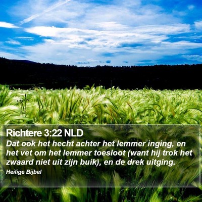 Richtere 3:22 NLD Bible Verse Image