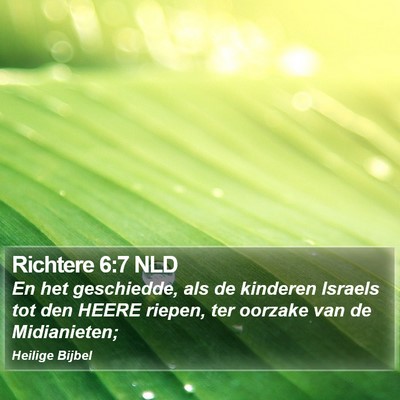 Richtere 6:7 NLD Bible Verse Image