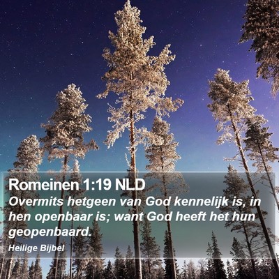 Romeinen 1:19 NLD Bible Verse Image