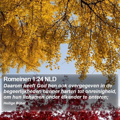 Romeinen 1:24 NLD Bible Verse Image