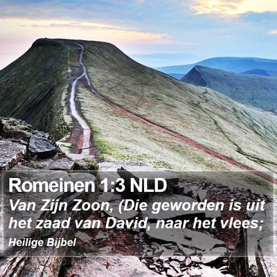 Romeinen 1:3 NLD Bible Verse Image