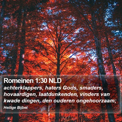 Romeinen 1:30 NLD Bible Verse Image