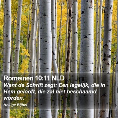 Romeinen 10:11 NLD Bible Verse Image