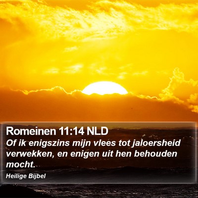Romeinen 11:14 NLD Bible Verse Image