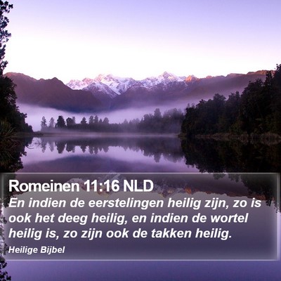 Romeinen 11:16 NLD Bible Verse Image
