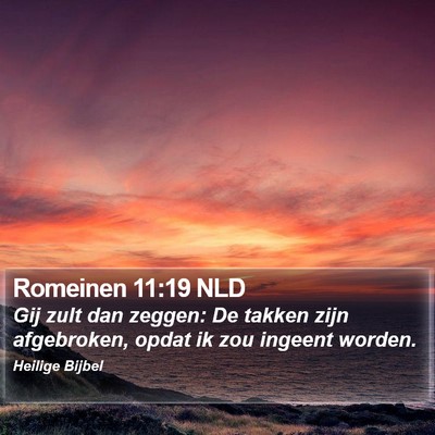 Romeinen 11:19 NLD Bible Verse Image