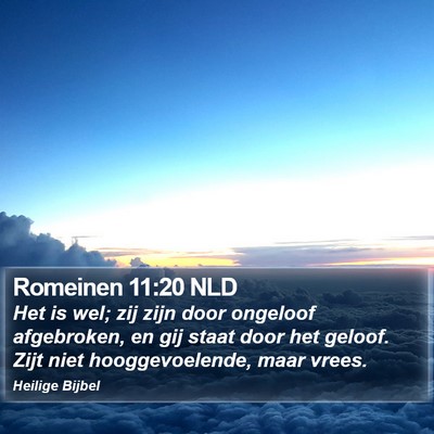 Romeinen 11:20 NLD Bible Verse Image