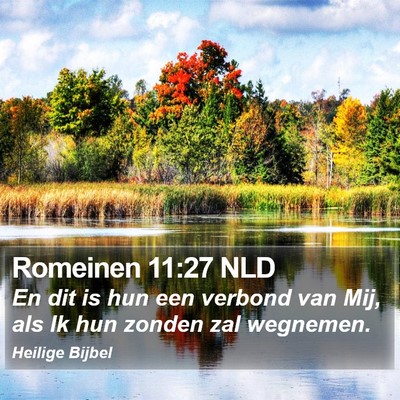 Romeinen 11:27 NLD Bible Verse Image