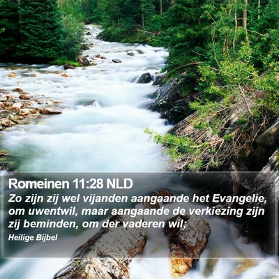 Romeinen 11:28 NLD Bible Verse Image