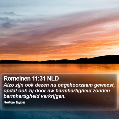 Romeinen 11:31 NLD Bible Verse Image