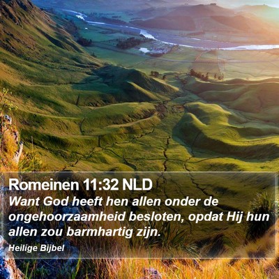 Romeinen 11:32 NLD Bible Verse Image