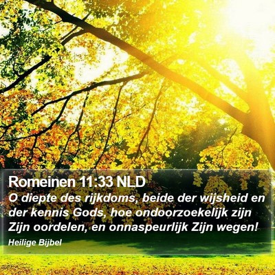 Romeinen 11:33 NLD Bible Verse Image