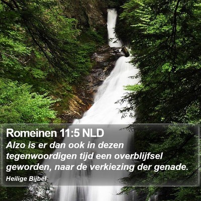 Romeinen 11:5 NLD Bible Verse Image