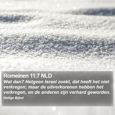 Romeinen 11:7 NLD Bible Verse Image