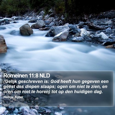 Romeinen 11:8 NLD Bible Verse Image