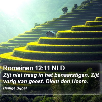 Romeinen 12:11 NLD Bible Verse Image