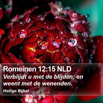 Romeinen 12:15 NLD Bible Verse Image