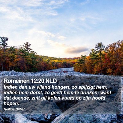 Romeinen 12:20 NLD Bible Verse Image