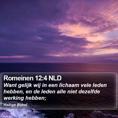 Romeinen 12:4 NLD Bible Verse Image