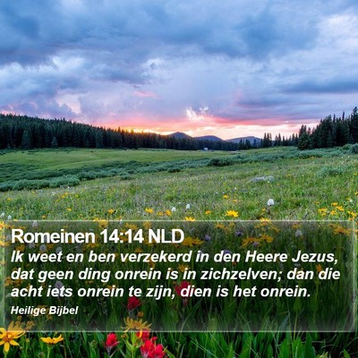 Romeinen 14:14 NLD Bible Verse Image