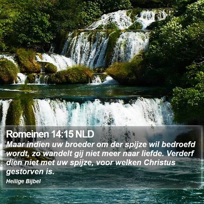 Romeinen 14:15 NLD Bible Verse Image