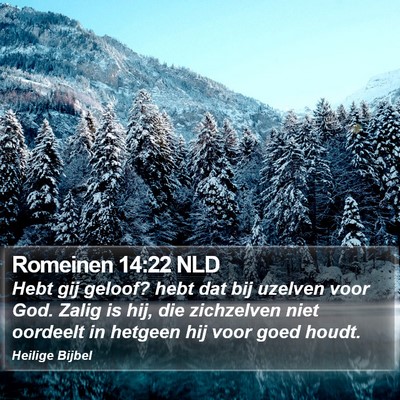 Romeinen 14:22 NLD Bible Verse Image