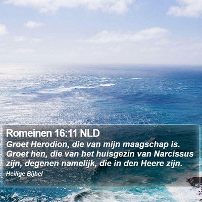 Romeinen 16:11 NLD Bible Verse Image