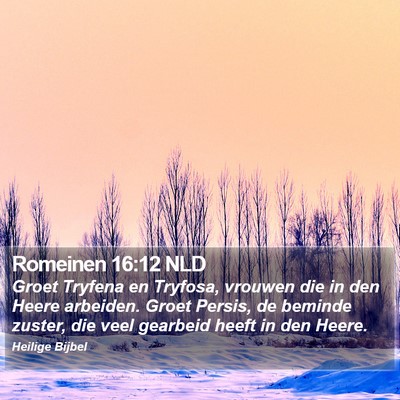 Romeinen 16:12 NLD Bible Verse Image