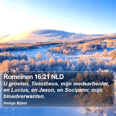 Romeinen 16:21 NLD Bible Verse Image